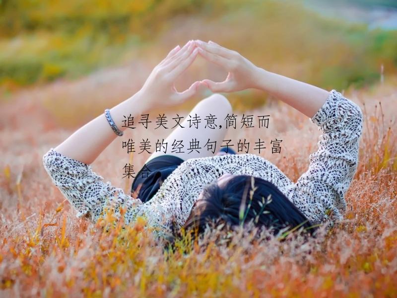 追寻美文诗意,简短而唯美的经典句子的丰富集合