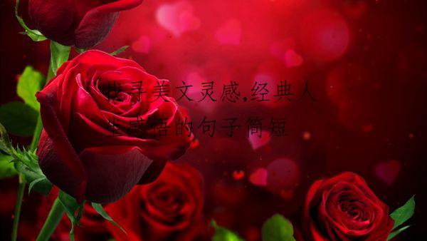 找寻美文灵感,经典人生感悟的句子简短