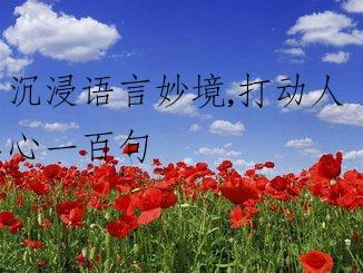 沉浸语言妙境,打动人心一百句