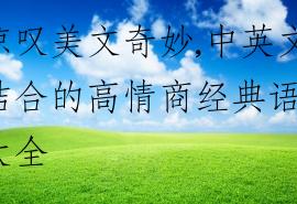 惊叹美文奇妙,中英文结合的高情商经典语句大全