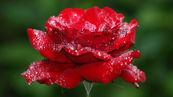 点燃语言之光,那些可以用来激励自己的经典句子