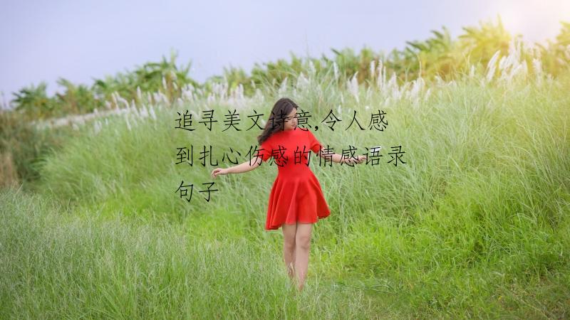 追寻美文诗意,令人感到扎心伤感的情感语录句子