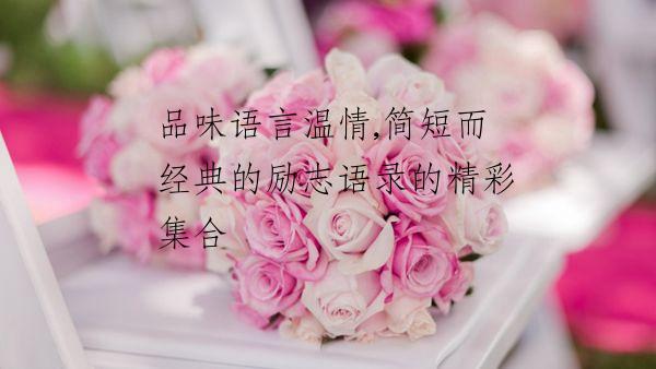 品味语言温情,简短而经典的励志语录的精彩集合
