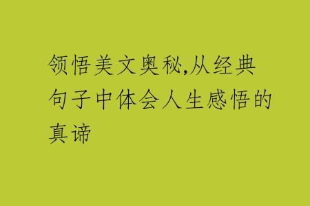 领悟美文奥秘,从经典句子中体会人生感悟的真谛