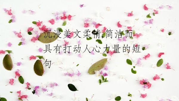 沉浸美文柔情,简洁而具有打动人心力量的短句