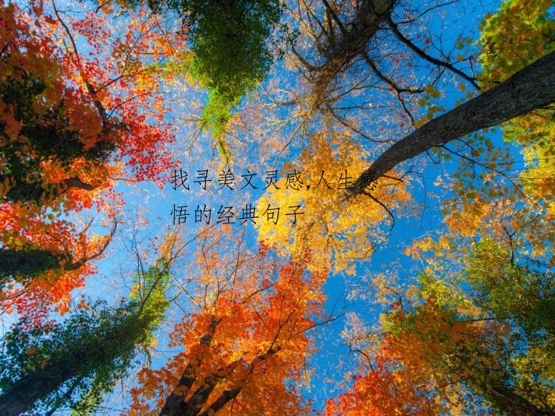 找寻美文灵感,人生感悟的经典句子