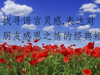 找寻语言灵感,表达对朋友感恩之情的经典短句