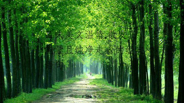 品味美文温情,散发正能量且纯净走心的经典语句