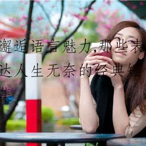 邂逅语言魅力,那些表达人生无奈的经典短句集