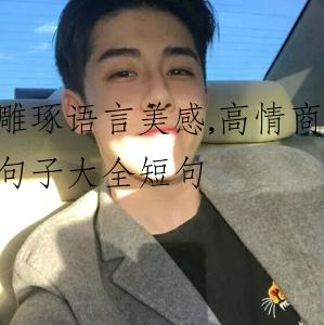 雕琢语言美感,高情商句子大全短句