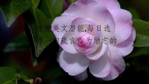 唤醒美文潜能,每日选择一句箴言作为励志的语句
