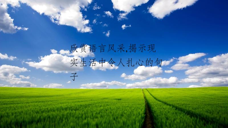 欣赏语言风采,揭示现实生活中令人扎心的句子