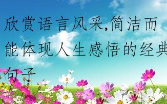 欣赏语言风采,简洁而能体现人生感悟的经典句子