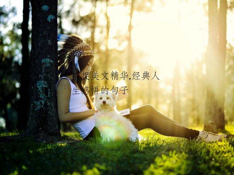 捕捉美文精华,经典人生感悟的句子